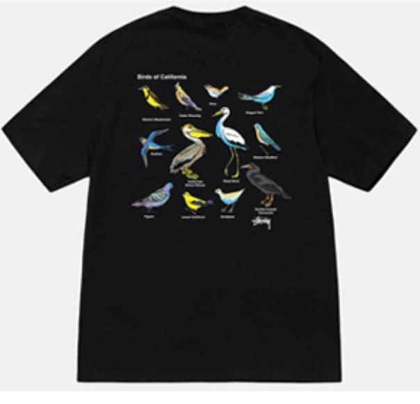 Stussy Crown Surfing Print Short Sleeve T-Shirt for Men and Women